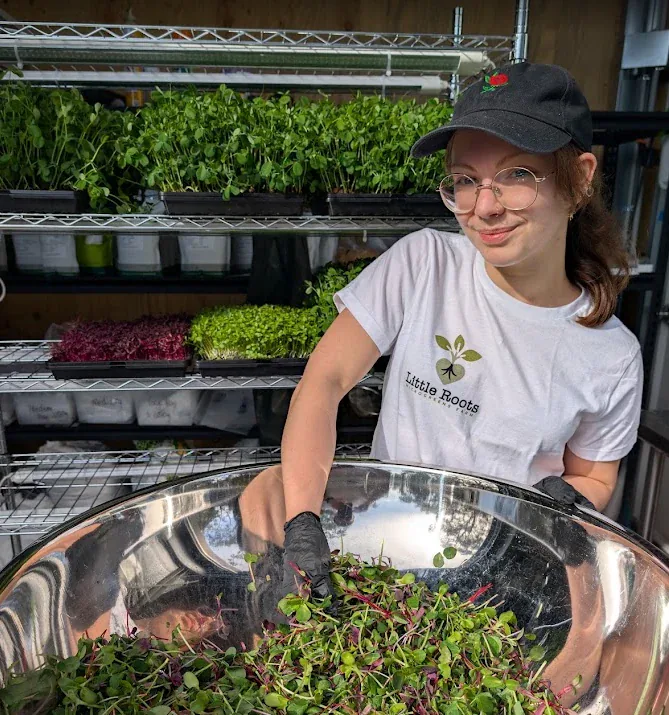 Cerys, full-time team member at Little Roots Farm, preparing a bowl of microgreens
