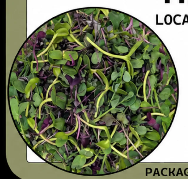 Detox Mix microgreens grown at Little Roots Farm