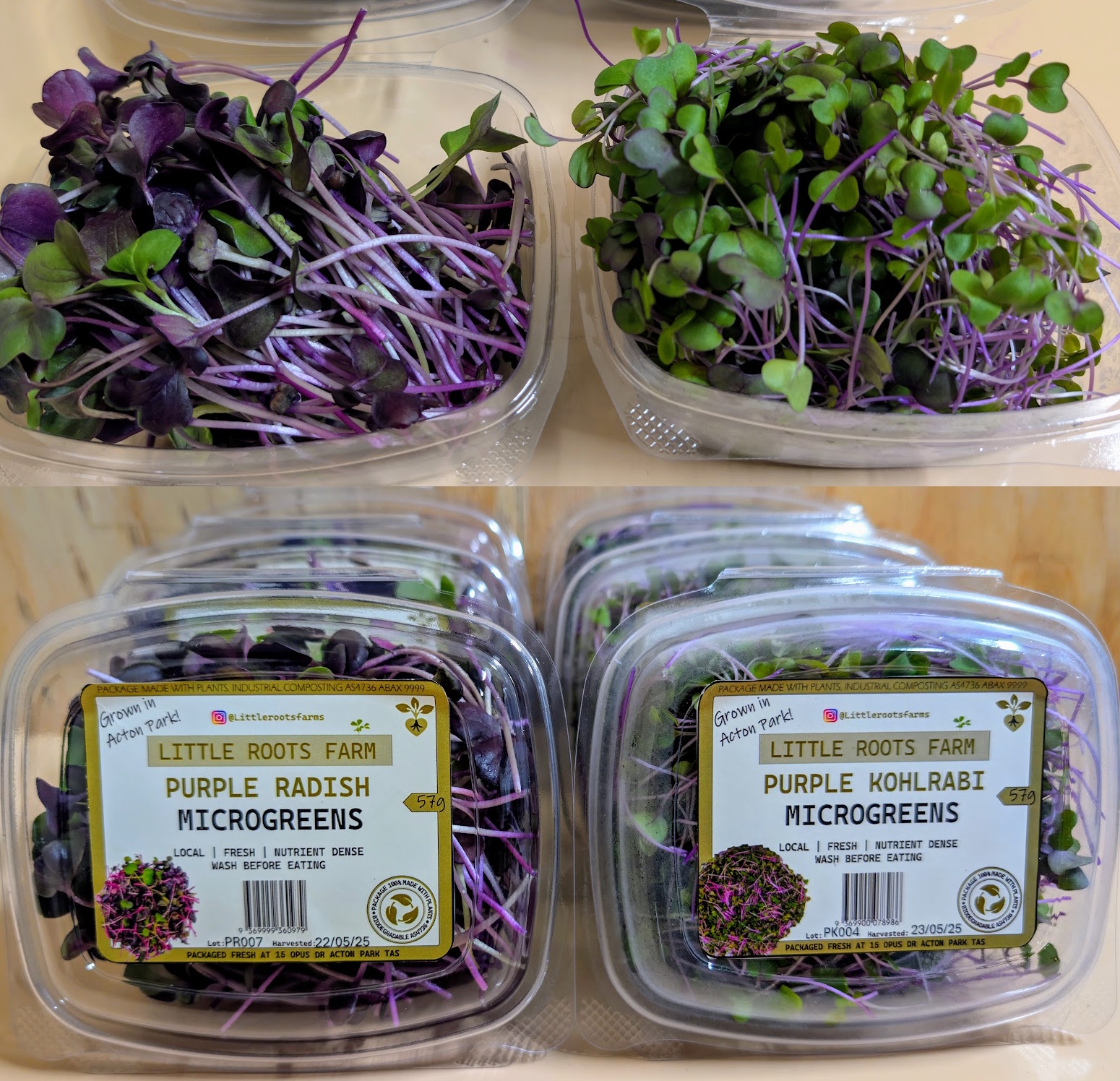 Purple radish and purple kohlrabi microgreens in compostable packaging from Hobart Tasmania