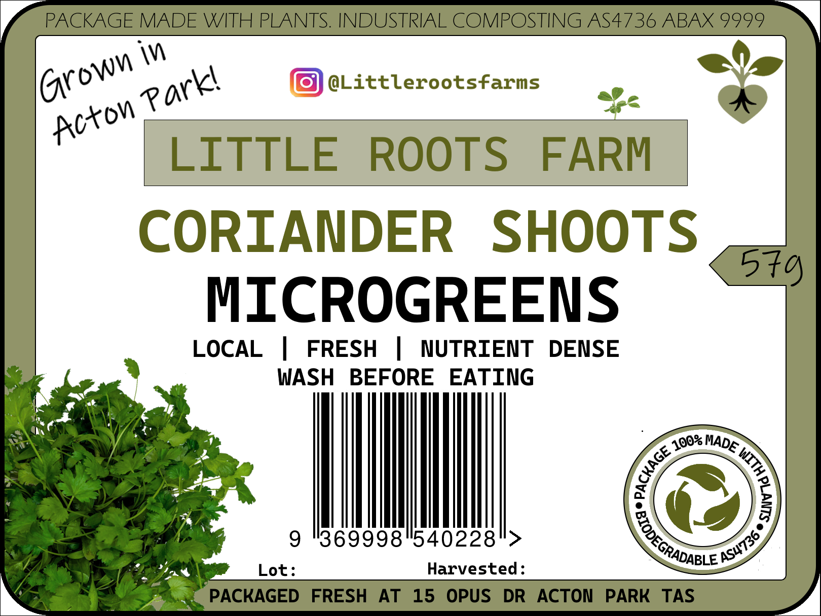 Little Roots Farm Coriander microgreens product label from Hobart