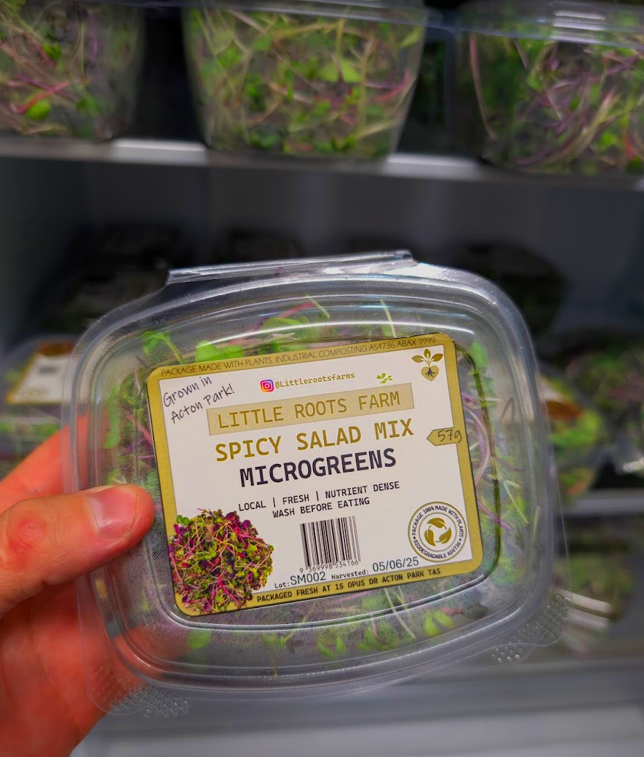 Spicy Salad Mix microgreens in retail container from Little Roots Farm Hobart